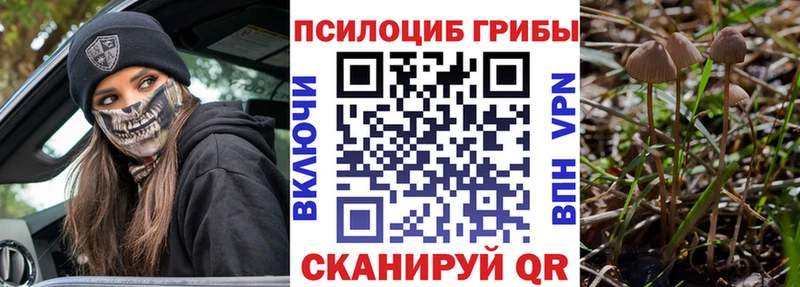 купить наркотики цена Бирюч Галлюциногенные грибы Psilocybine cubensis