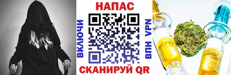 наркотики  Бирюч  Бошки Шишки сатива 